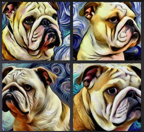Image of bulldog in the style of Van Gogh made using Bing Image Creator